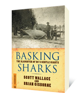 Basking Sharks by Scott Wallace, Brian Gisborne