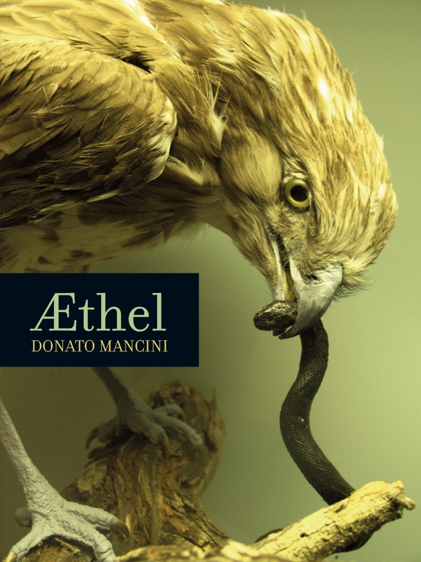 Aethel by Donato Mancini