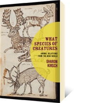 What Species of Creatures by Sharon Kirsch