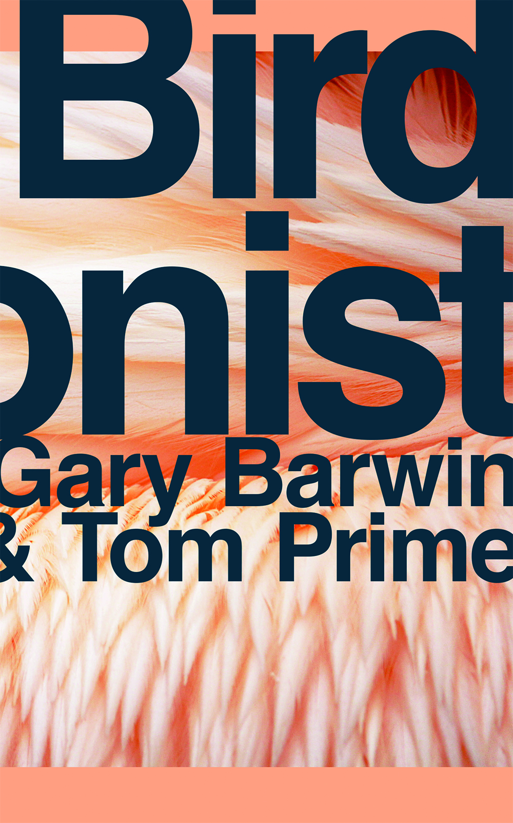 Bird Arsonist by Tom Prime, Gary Barwin